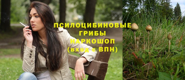 ALPHA PVP Алексин
