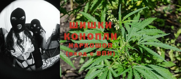 PSILOCYBIN Алексеевка