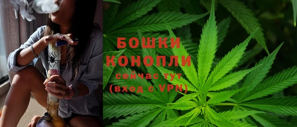 ALPHA PVP Алзамай