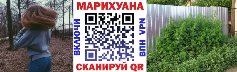 где купить наркотик  Кизел  Шишки марихуана план 